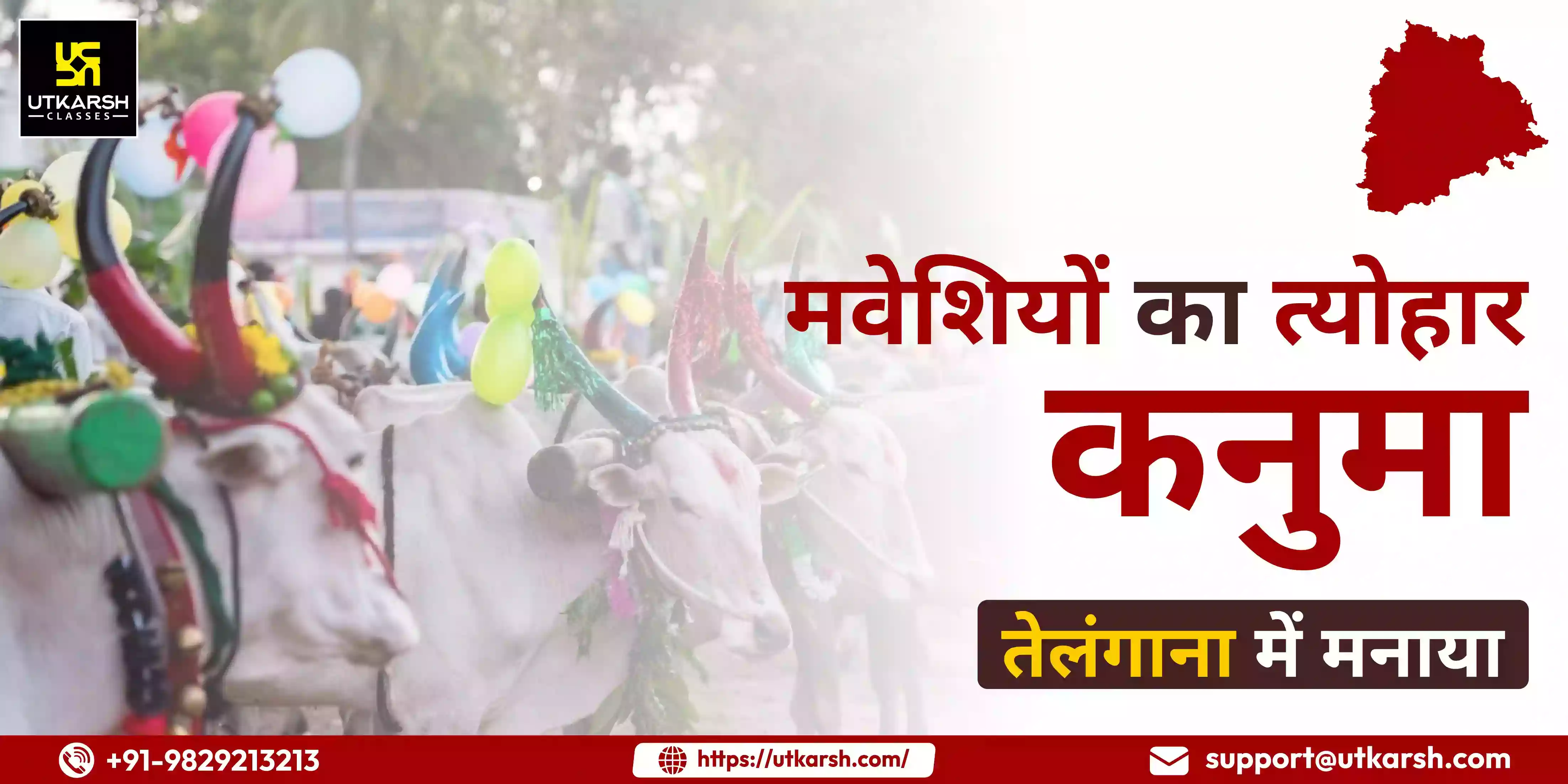 Kanuma the Festival of Cattle Celebrated in Telangana